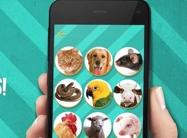 宠物交流器中文app