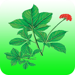 食物与中药软件
