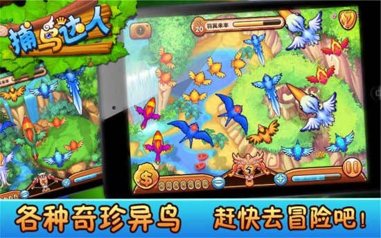 捕鸟达人手机版 v2.0.37 安卓版 0