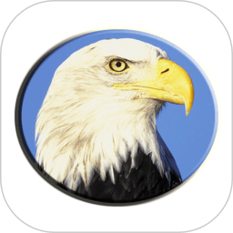 数学天堂手机版