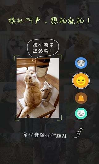 萌宠相机软件 v1.9.3 安卓版0
