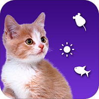 逗猫神器猫语翻译手机版