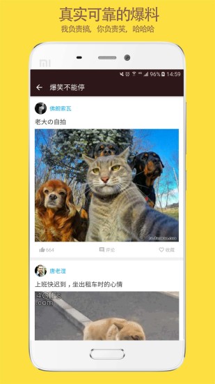 奇趣精选app v1.5 安卓版2