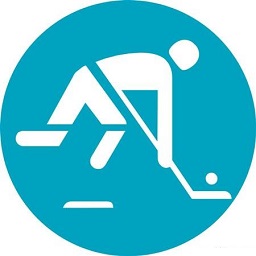 ea冰球2007免cd游戏补丁