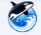 orca browser下载