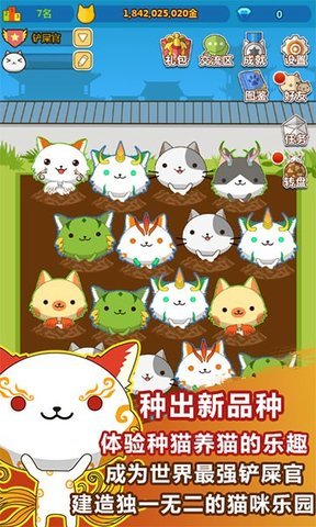 叫我猫主子h5游戏