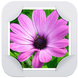 3D炫图手机版(gallery)