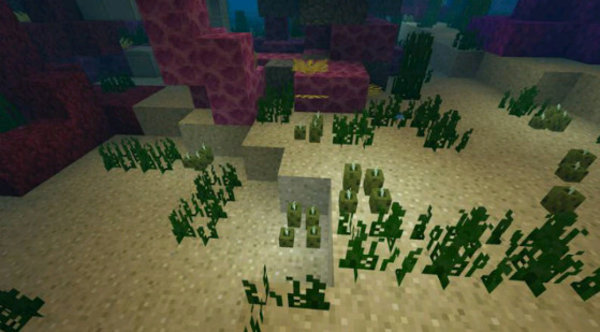 我的世界海洋版游戏 v1.5.1 安卓最新版2