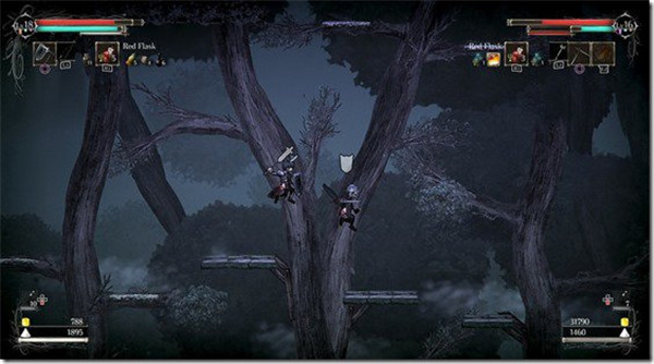 盐与圣域游戏 中文版1