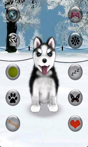 会说话的哈士奇狗 v1.96 安卓版2