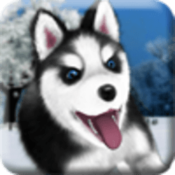 会说话的哈士奇游戏下载