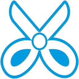 截屏大师修改版