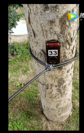 小野定向最新版 v2.2.0 安卓版2