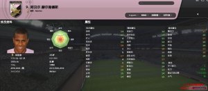 fifa足球经理2009(fifa manager 09)