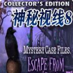 神秘视线8中文版