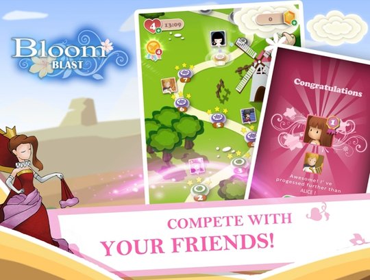 永恒之花游戏 v0.9.0 安卓版 2