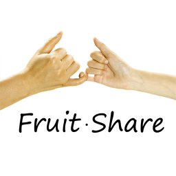 果分享软件