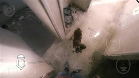 紫罗兰之影2游戏