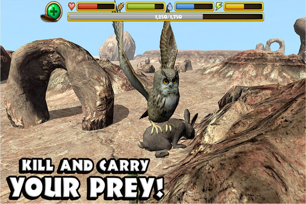 猫头鹰模拟中文版 v1.0 安卓版 0