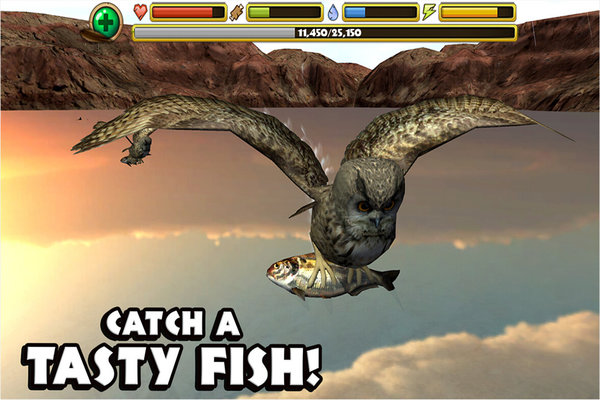 猫头鹰模拟中文版 猫头鹰模拟器