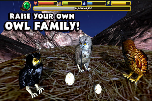 猫头鹰模拟中文版 v1.0 安卓版 2