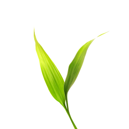 微博士学生端手机版