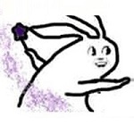 舞法天女朵蜜表情包