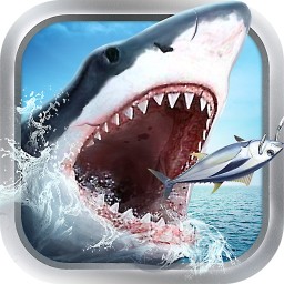 口袋钓鱼手机版