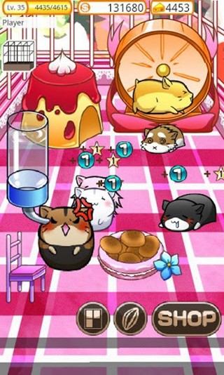 小仓鼠的快乐生活游戏 v3.3.3 安卓版1