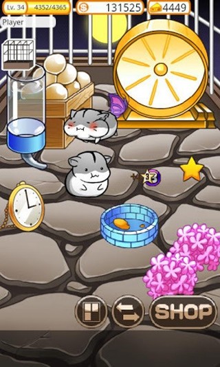 小仓鼠的快乐生活游戏 v3.3.3 安卓版3