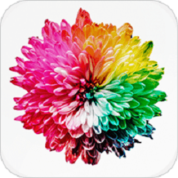 抖屏动态壁纸app