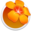 你来比划我来猜