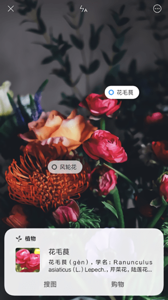智能识物app v0.7.1 安卓官方版1