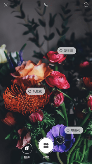 智能识物app v0.7.1 安卓官方版2