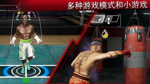 真实拳击2中文最新版(real boxing 2) v1.8.6 安卓无限金币版4