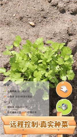 水滴农场最新版 v2.1.0 安卓版 0