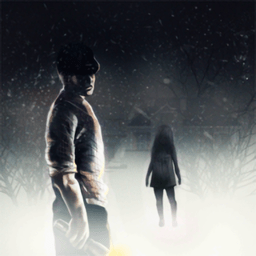 觉醒awakening游戏