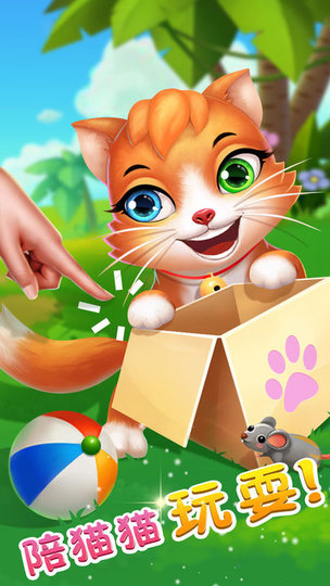 我的宠物猫客户端