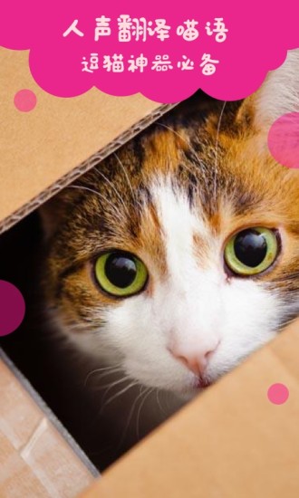 猫语翻译手机版 v971600 安卓最新版1
