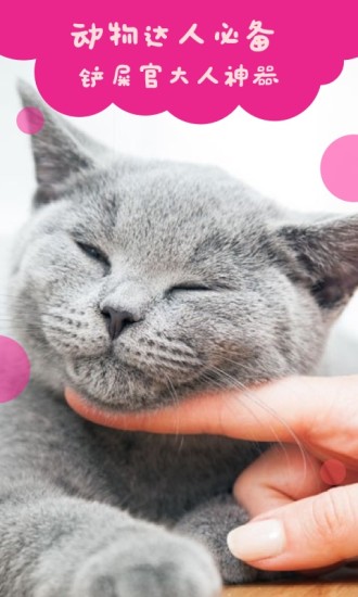 猫语翻译手机版 v971600 安卓最新版3