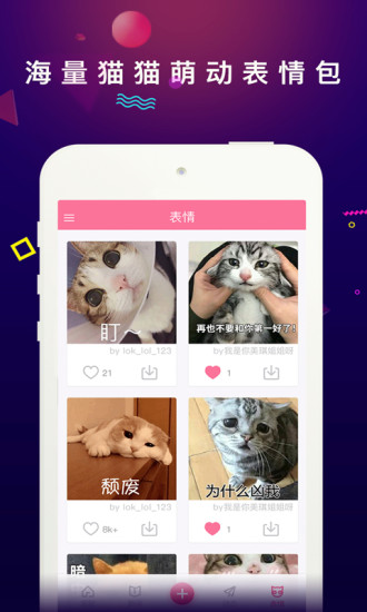 每日一猫app v1.1.9 安卓版0
