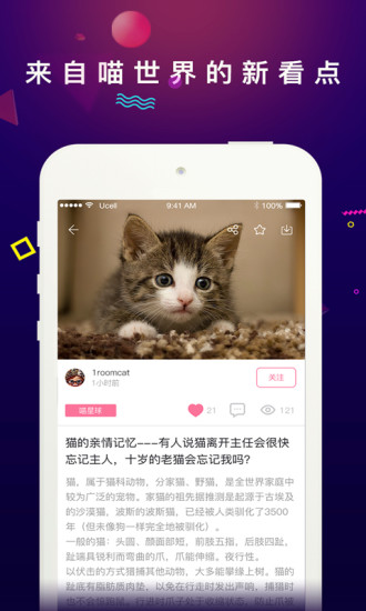 每日一猫app v1.1.9 安卓版3