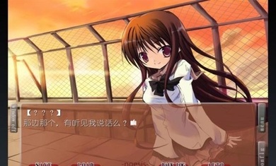 noesis虚假的记忆物语汉化版 v20140816 安卓版1