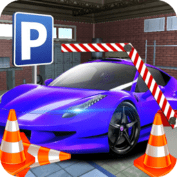 城市停车场3d中文版(city car parking 3d)