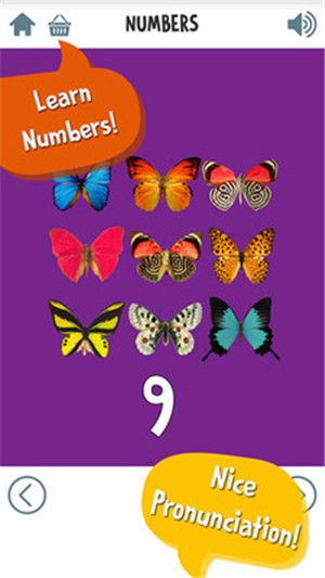 颜色初认识游戏 v1.2 安卓版2