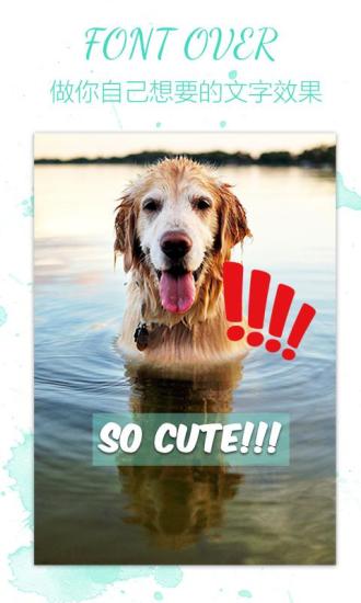 玩美文字app v1.31 安卓版2