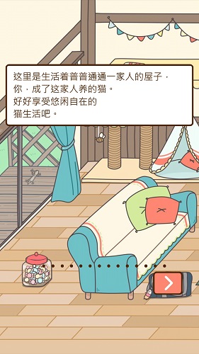 猫咪饲养日常中文版 v1.00 安卓版0