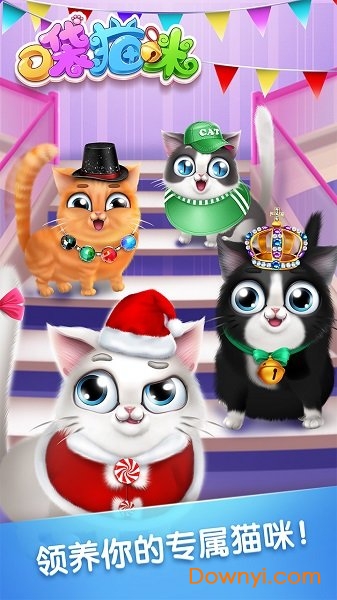 口袋猫咪手机版 v1.0.4 安卓版 0