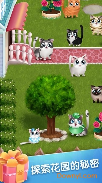 口袋猫咪手机版 v1.0.4 安卓版 1