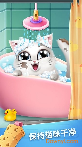 口袋猫咪 口袋猫咪游戏